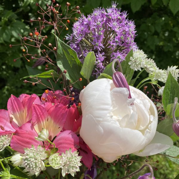 Strauß mit weißer Pfingstrose, Allium und rosa Alstroemerien